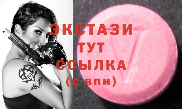 твердый Протвино