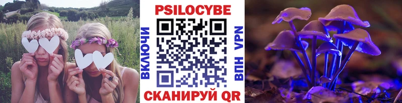 где продают наркотики  Боготол  Галлюциногенные грибы Cubensis 